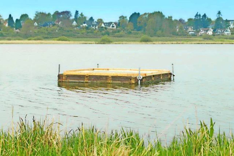 Einmal in der Woche nimmt Reinhard Depner eine Sichttiefenmessung vor – immer an derselben Stelle.