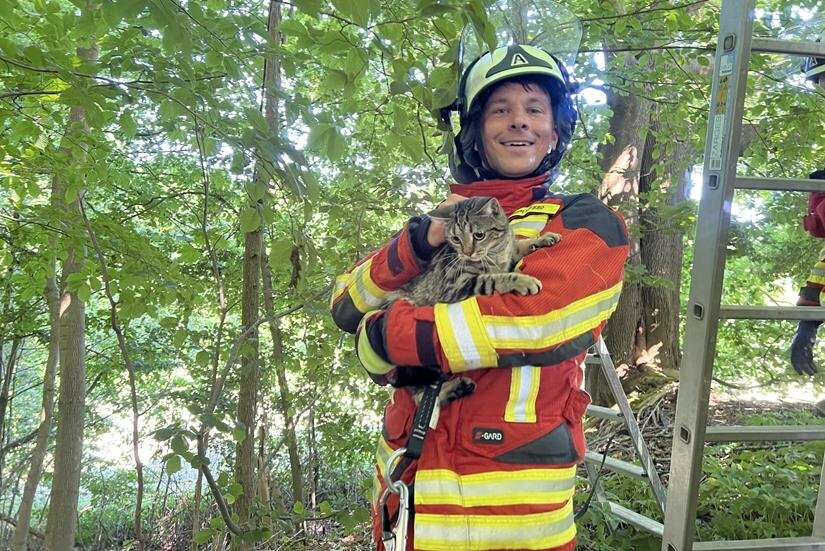 Feuerwehr Scharbeutz Rettet Katze Aus Dem Baum - Neustadt In Holstein ...