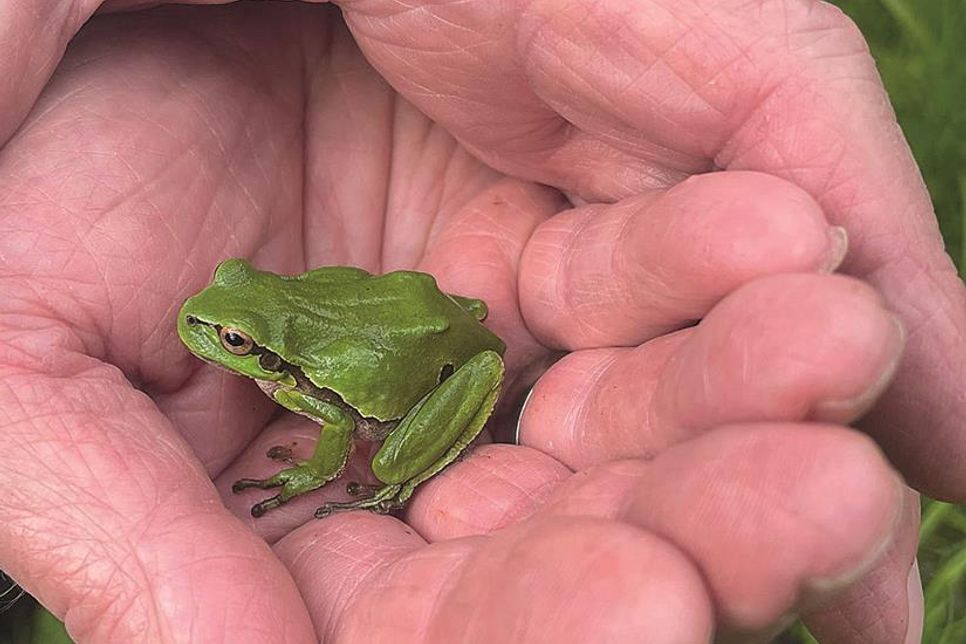 Auf gute Nachbarschaft: Der Tag der Offenen Tür soll für die tierischen Bewohner des Schutzgebietes sensibilisieren.