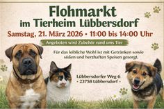 Flohmarkt im Tierheim