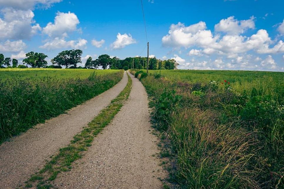 Ein typisches Landschaftsbild unserer Region, das Ruhe und Weite ausstrahlt. Aufgenommen wurde es während einer Fahrradtour im Juni von Holger Wrage auf dem Feldweg zwischen Neustadt und Sierhagen.