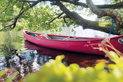 Lust auf ein Abenteuer?: Kanutour nach Schweden für Jugendliche