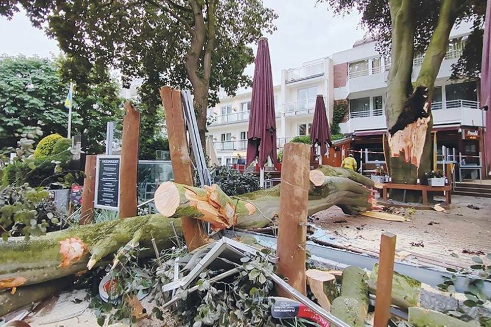 Ein Teil der alten Rotbuche vom „Oswald“ stürzte am vergangenen Mittwoch auf die dortige Terrasse und Kurpromenade und sorgte für einen längeren Unwettereinsatz in Timmendorfer Strand.