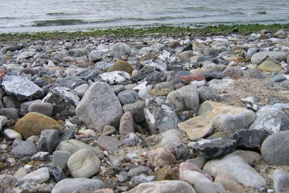 Der Austausch mit anderen im zeiTTor ist interessant für jeden, der schon einmal selbst einen komisch geformten Stein gefunden hat (Foto: zeiTTor)