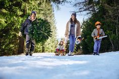 Mit dem persönlichen Wunschbaum, frisch gefällt im Wald, kann Weihnachten kommen.
Foto: DJD/Andreas Stihl