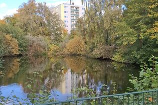Inzwischen wurde der Teich aus Sicherheitsgründen eingezäunt.