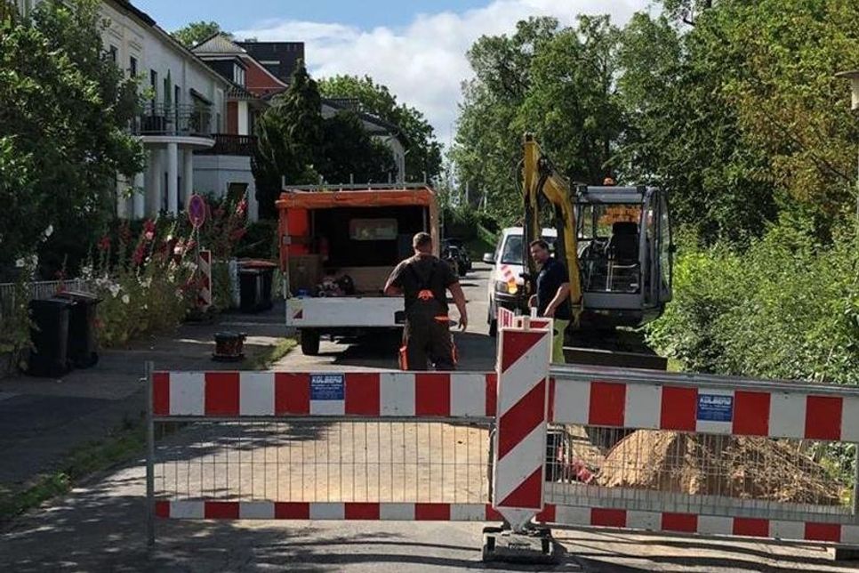 Derzeit laufen die Reparaturarbeiten im Hafensteig.