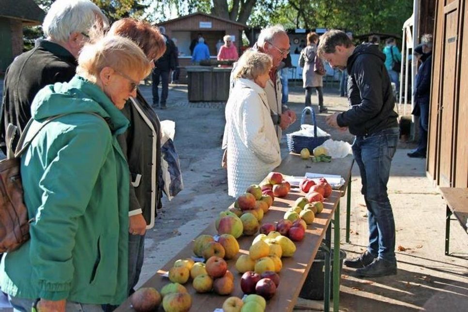 Beim Hof-Markt können Erzeugnisse aus der Region erworben werden.