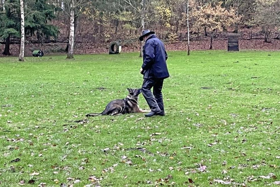 Hundesport schafft eine tolle Verbindung zwischen Mensch und Tier.