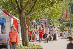 Einmaliges Zwischenspiel: Der Malenter Landmarkt findet am kommenden Wochenende ausnahmsweise auf der Diekseepromenade statt.