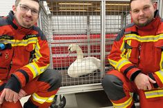 Feuerwehr rettet Schwan aus dem Eis der Ostsee