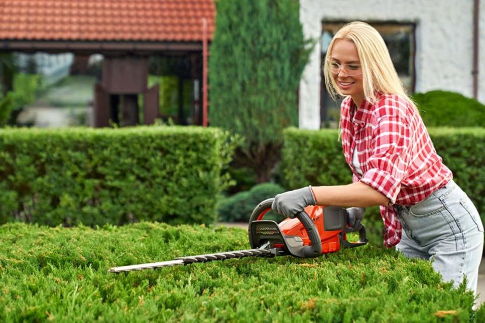 Mit einem pflegenden Schnitt erhält die Hecke als grüner Gartenzaun die gewünschte Optik. Foto: DJD/www.greenbase.de