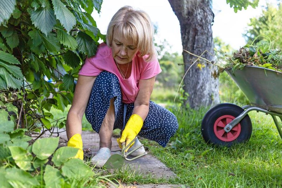 Wie man den Garten pflegt, hat auch Einfluss auf die Qualität des Trinkwassers aus dem heimischen Hahn.