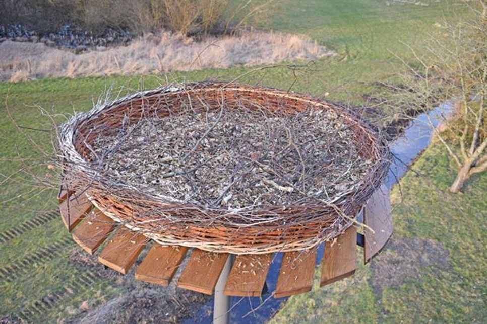 Das Nest in rund zehn Meter Höhe ist fertig – nun heißt es warten, auf den ersten Einzug einer Storchenfamilie