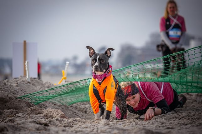 Die beeindruckende Kulisse der winterlichen Ostsee, gepaart mit anspruchsvollen Strecken, begeistert Teilnehmer und Zuschauer gleichermaßen.
