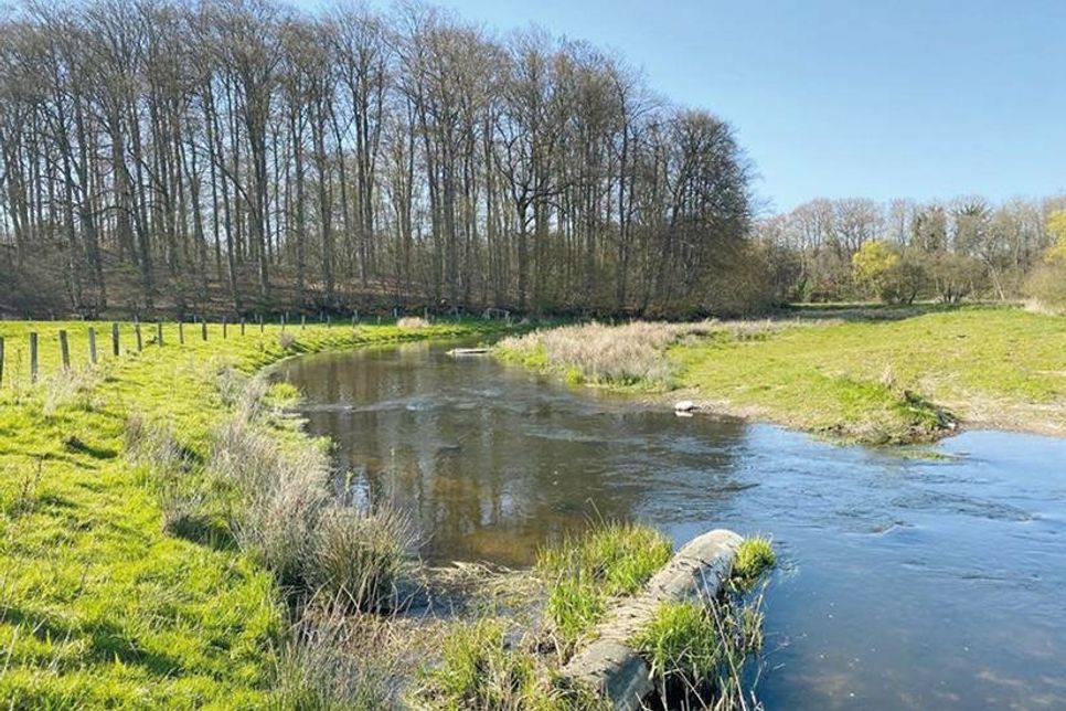 Um mehr als 600 Meter wurde die Schwartau zwischen Hobbersdorf und dem Riesebusch verlängert.