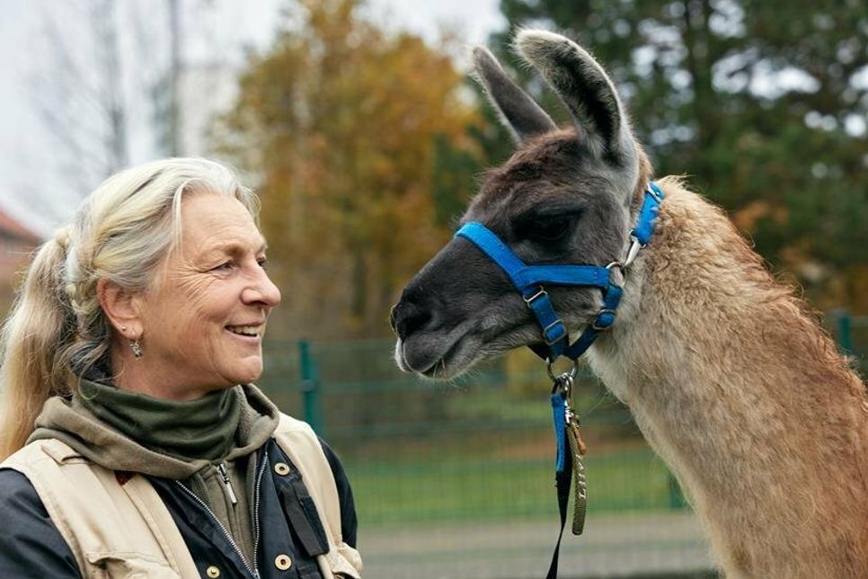 Ines Schneider mit Lama Liivi. (Foto: Sven Wied).