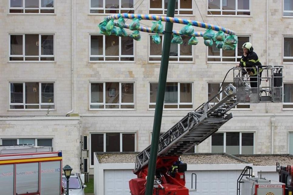 Bei kräftigem Ostseewind stellten die Mitglieder der Freiwilligen Feuerwehr Neustadt den Maibaum auf.