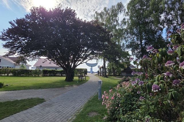 Die Buche (lks.) und die Birke (re.) im Kurpark, beide vom Pilzbefall betroffen, müssen in den kommenden Tagen entfernt beziehungsweise zurückgeschnitten werden.