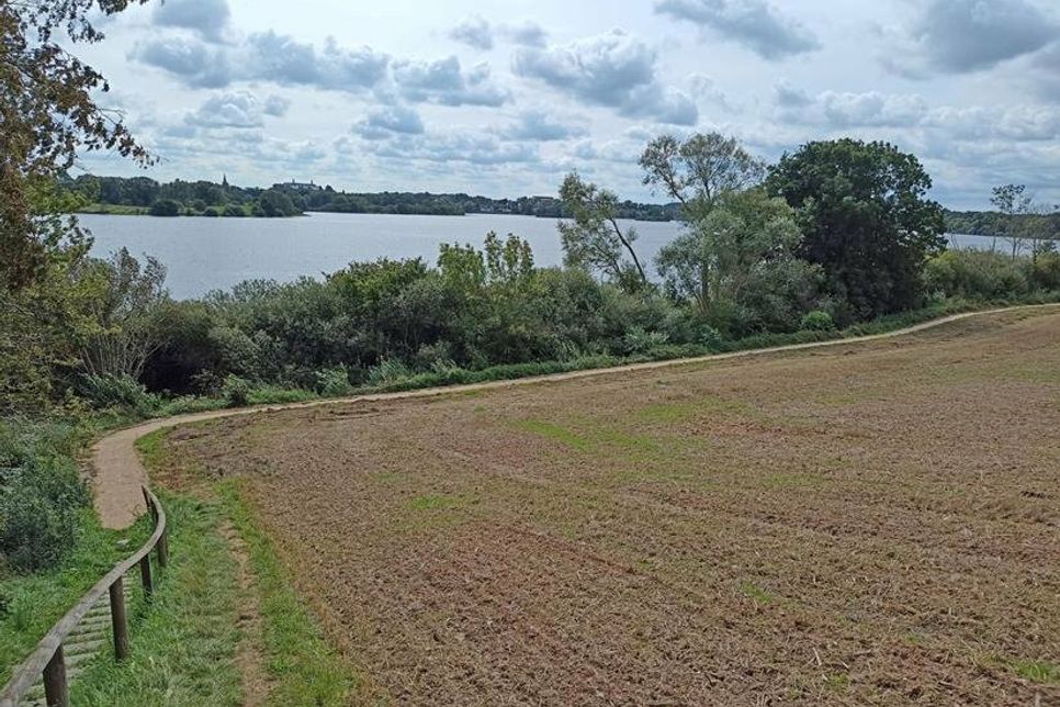 Der Weg von Rathensdorf nach Tramm wurde entlang des Trammer Sees saniert und aufgewertet.