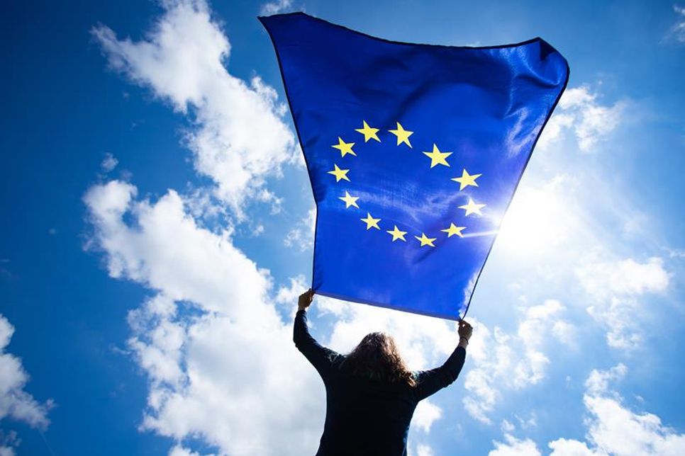 Die EU-Wahl rückt näher und damit auch die Diskussion um europäische Umweltpolitik. Seit den 1970er Jahren hat die EU Maßnahmen ergriffen, um Umweltschutz in allen Politikbereichen zu verankern. (Foto: AdobeStock)
