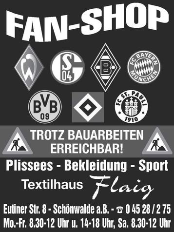 Fanshop - mit allen Logos