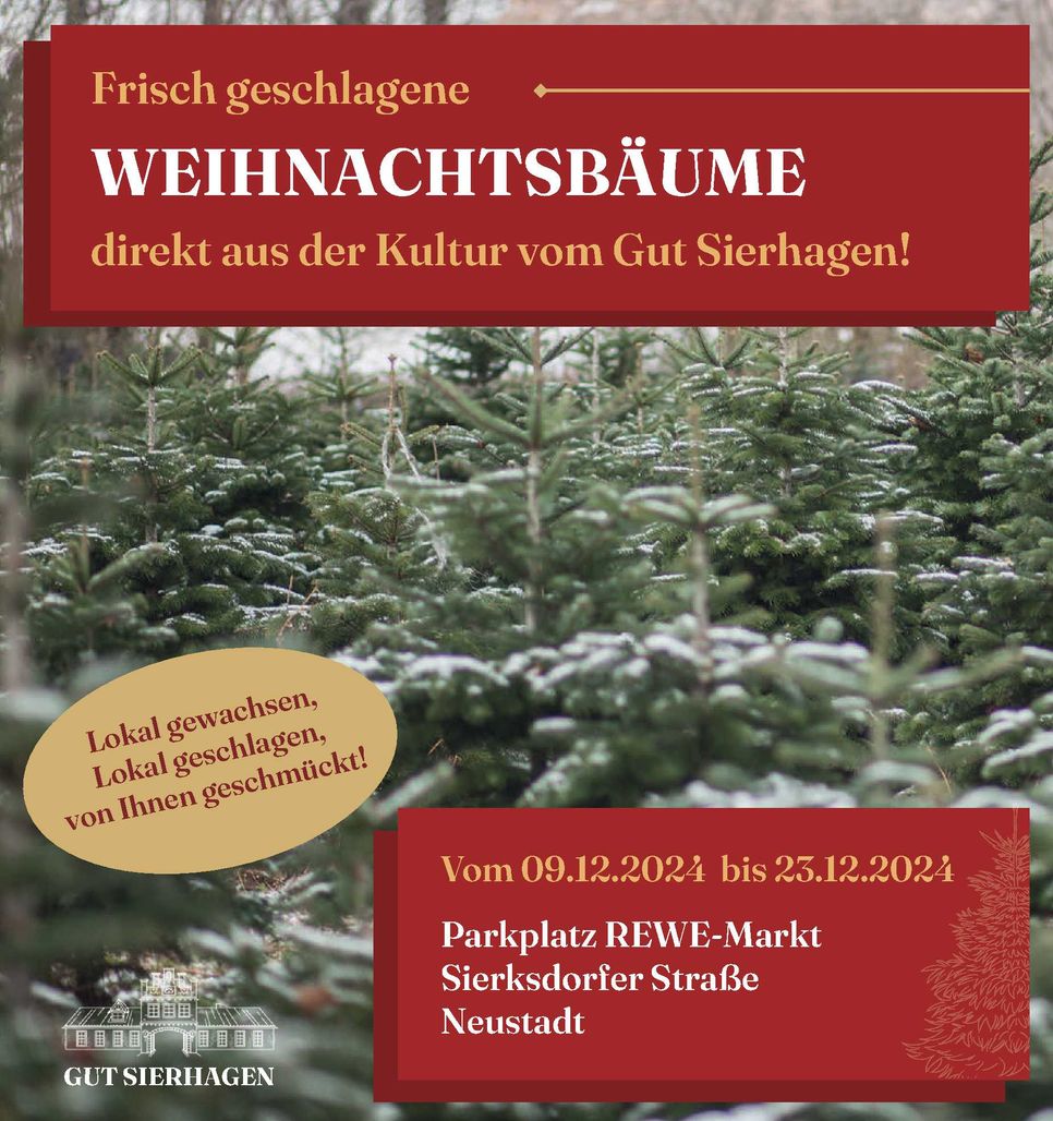 REWE - Weihnachtsbaumverkauf